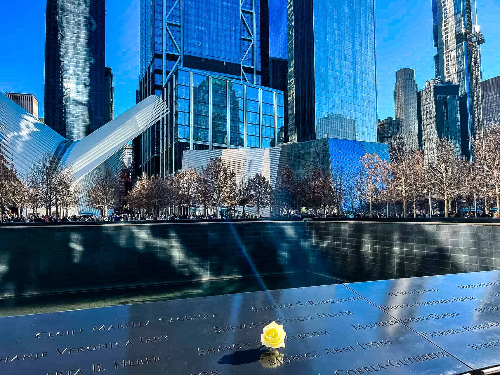 New York City in Winter - A Guide to Visiting New York City in Winter A white flower for the victims on their birthday - 9/11 Memorial in New York City, USA.