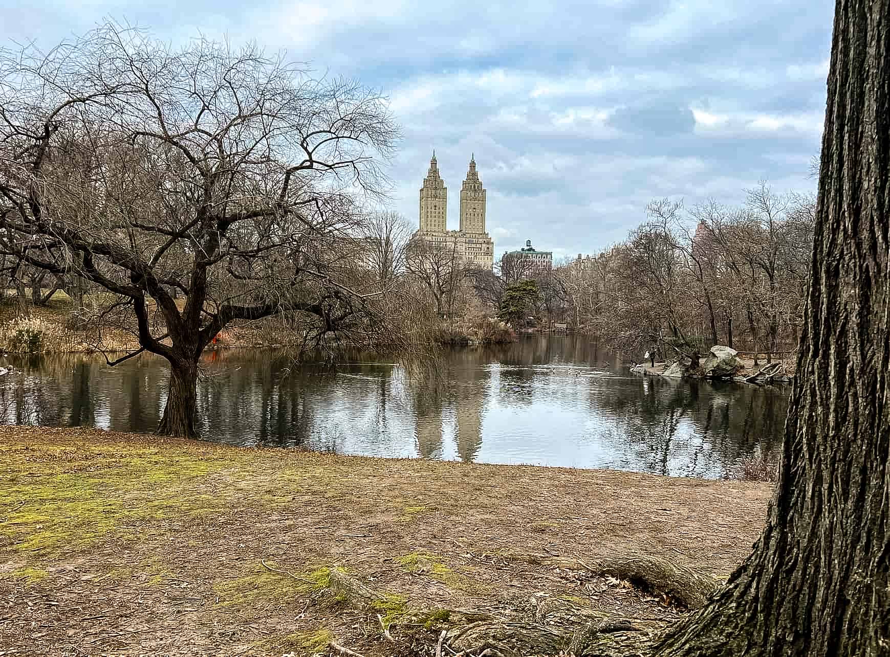 New York City in Winter - A Guide to Visiting New York City in Winter An oasis amidst the skyscrapers - Central Park in New York City, USA.