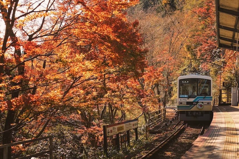 Day Trips From Osaka - Best Day Trips From Osaka A train in Japan in Autumn