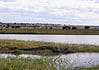Experiencing a Chobe River Cruise