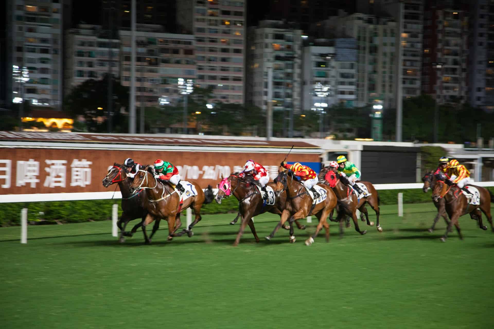 - Best Casino Cruise Stops in the World Horse Racing at the Hong Kong Jockey Club.