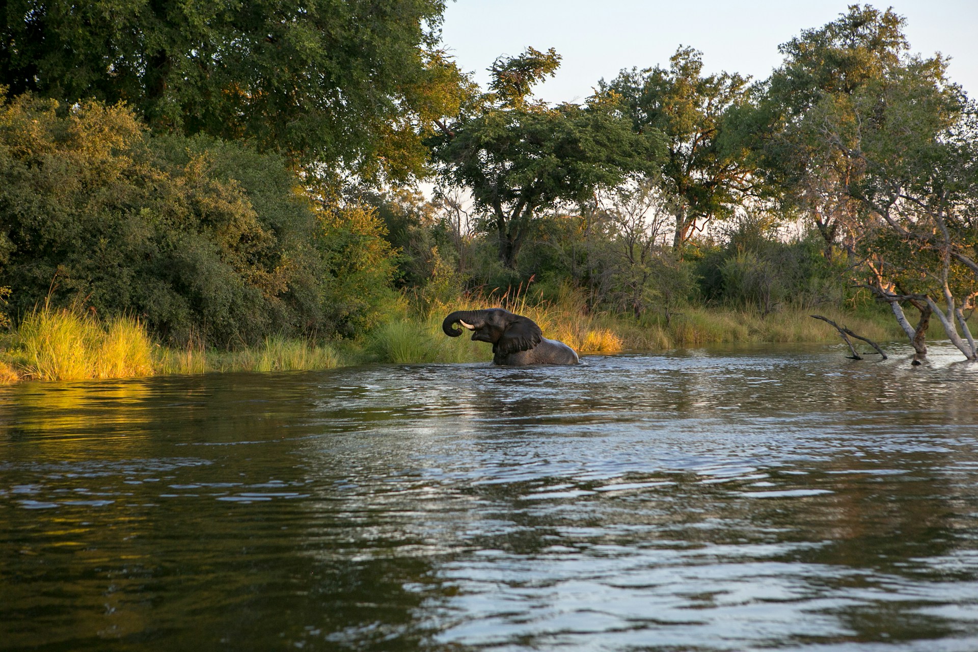 Lower Zambezi National Park - A Guide to Visiting Lower Zambezi National Park Kayube, Zambezi River, Livingstone, Zambia