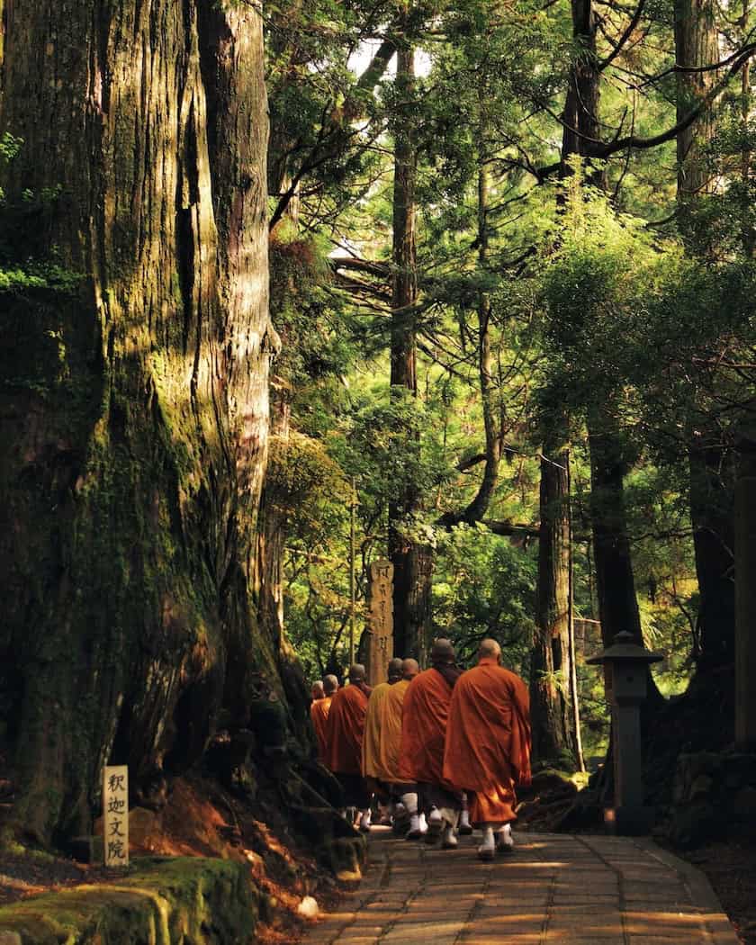 Day Trips From Osaka - Best Day Trips From Osaka A forest in Koyasan, Japan