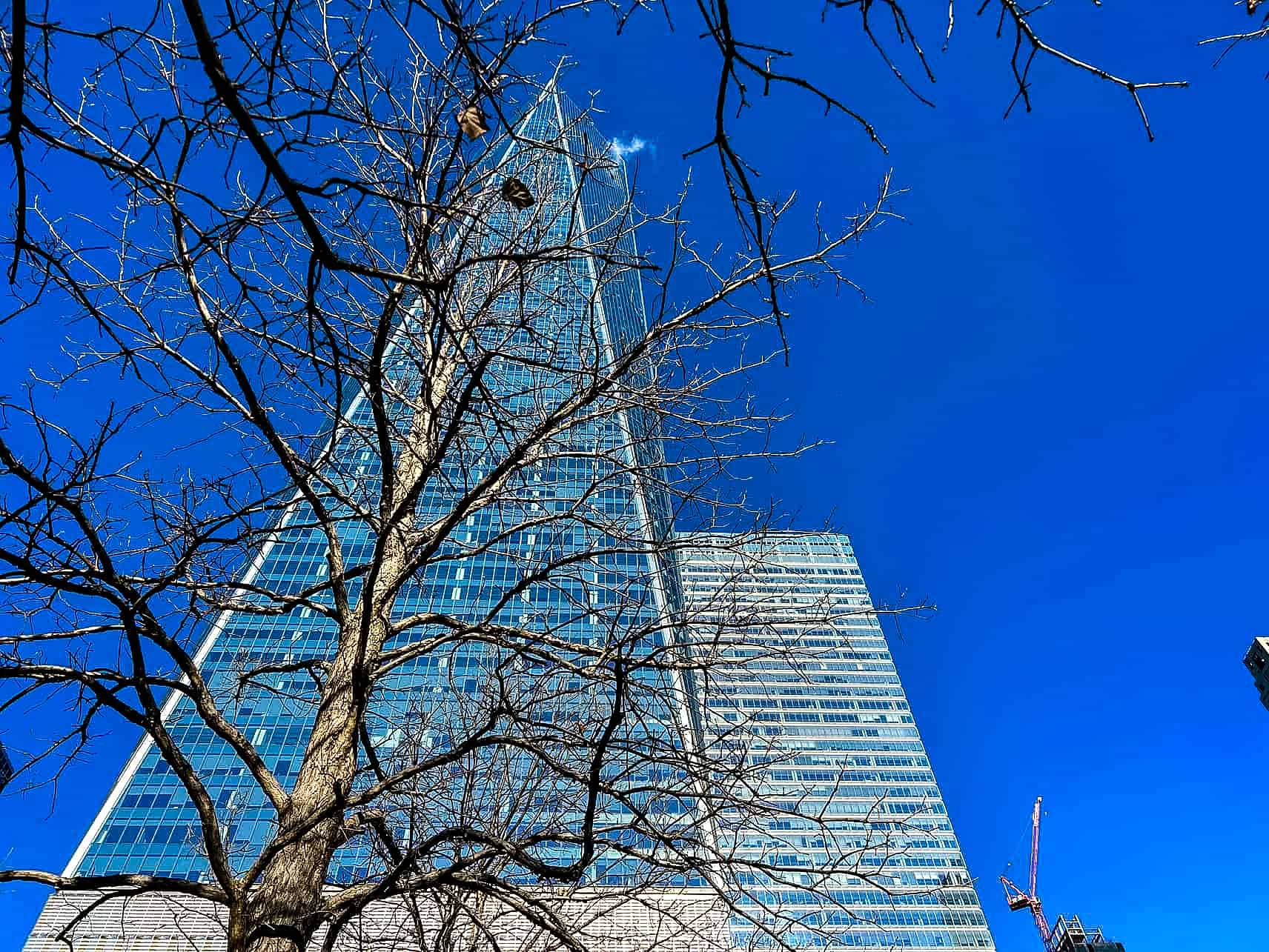 New York City in Winter - A Guide to Visiting New York City in Winter One World Trade Center in New York City, USA.