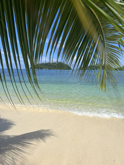 Palm trees and a breeze - beach life in the Seychelles.