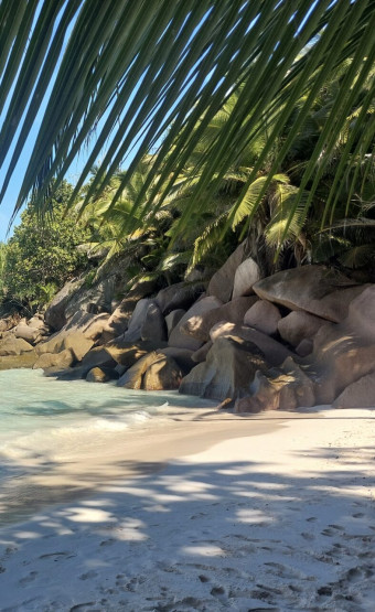 Dream beach Anse Cocos, Seychelles.