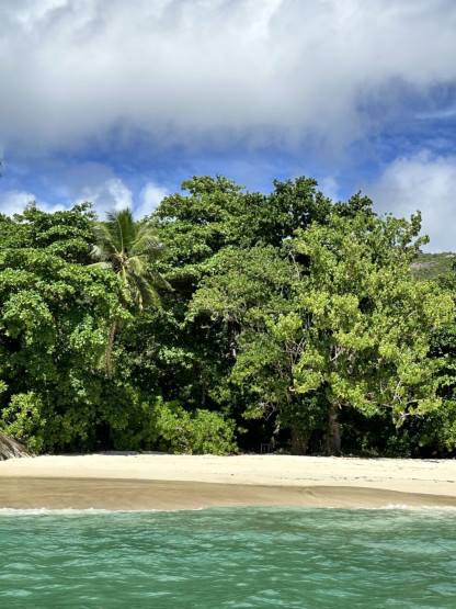 50 shades of green and blue on the beaches of the Seychelles.