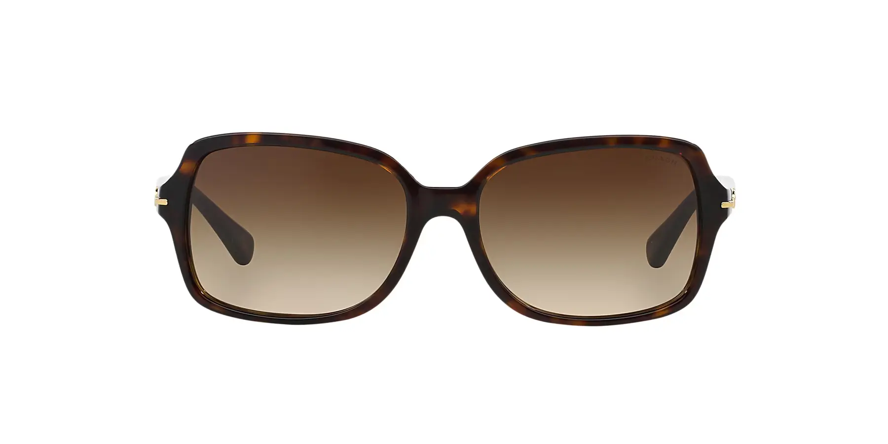 sunglasses for the beach - Best Sunglasses for the Beach (Including Watersports & Volleyball) COACH Sunglasses for Women - Model Blair HC8116 L087.